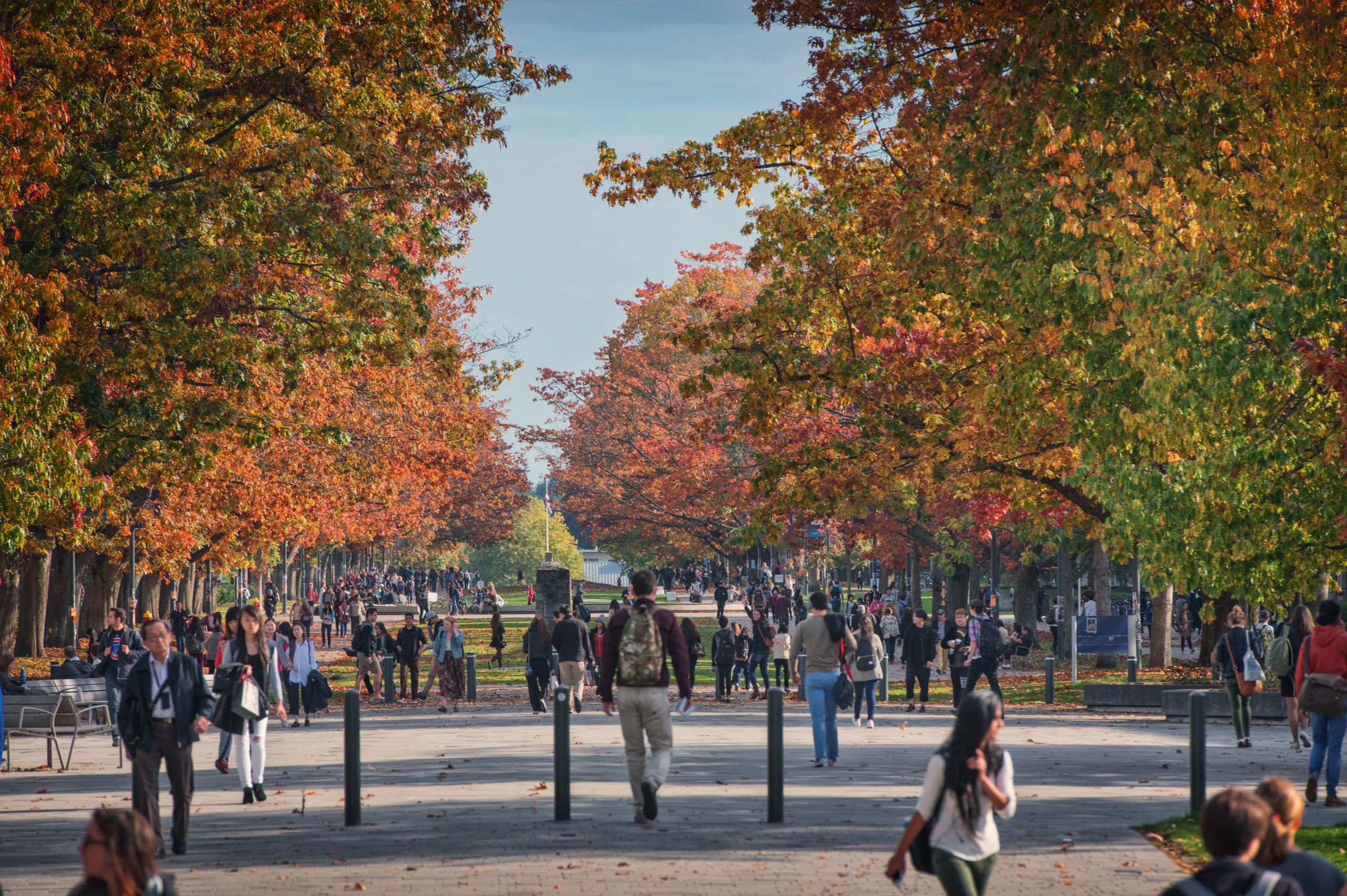 Picture of students walking along the UBC campus during Fall.